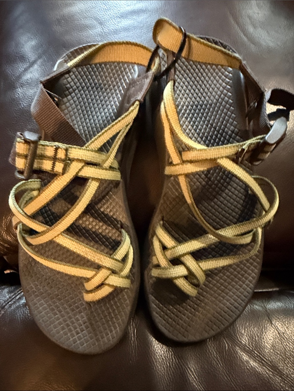 Chaco Olive and Brown Adjustable Webbing Sandal Strap made in the USA